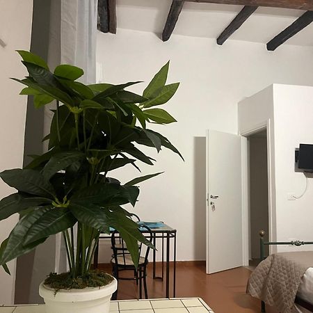 Il Portale 2 Apartment Tropea Bagian luar foto